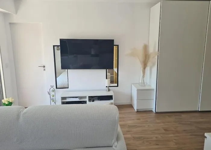 Appartement Superbe Luxueux Spacieux 50 M2 Port