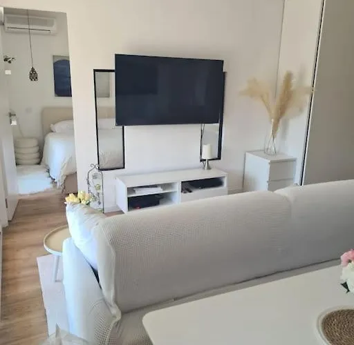 Superbe Luxueux Spacieux 50 M2 Port Appartement Nice