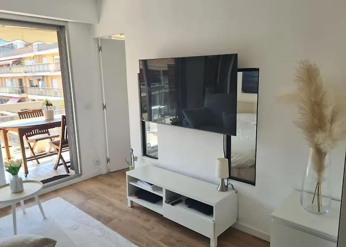 Appartement Superbe Luxueux Spacieux 50 M2 Port Nice