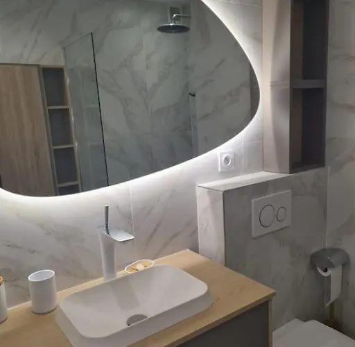 Appartement Superbe Luxueux Spacieux 50 M2 Port *
