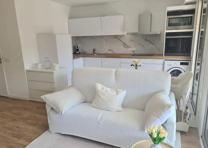 Appartement Superbe Luxueux Spacieux 50 M2 Port *