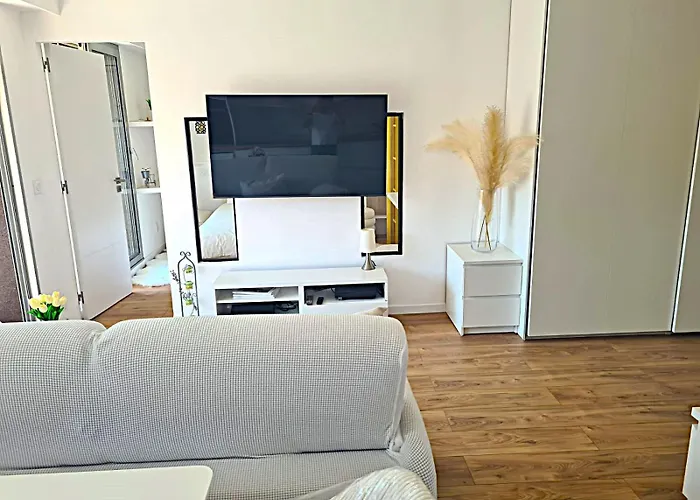 Superbe Luxueux Spacieux 50 M2 Port Nice