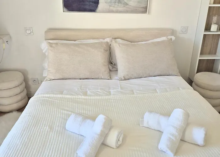 Appartement Superbe Luxueux Spacieux 50 M2 Port *